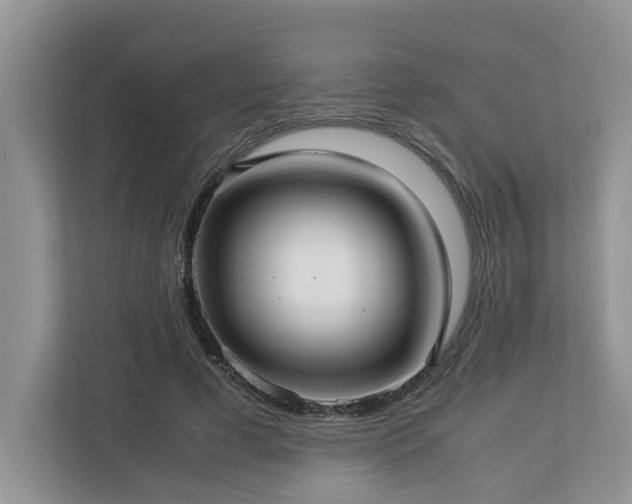 X0000112950593200908241344