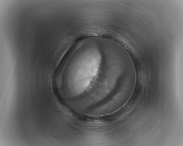 X0000112950594200908241344