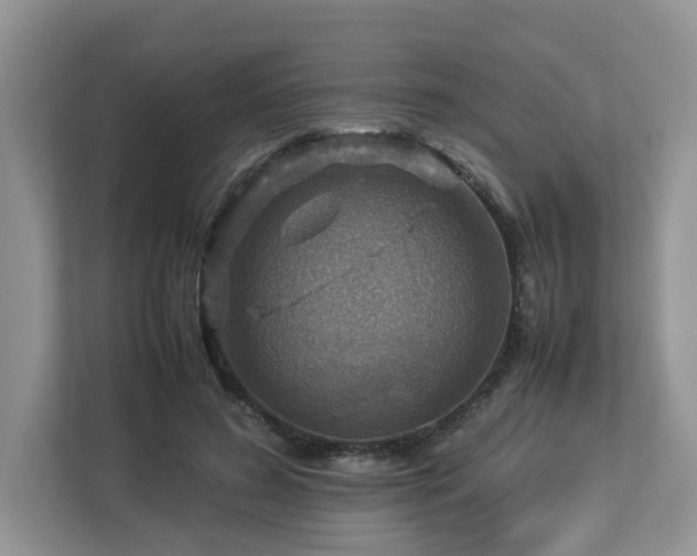 X0000112950596200908241344