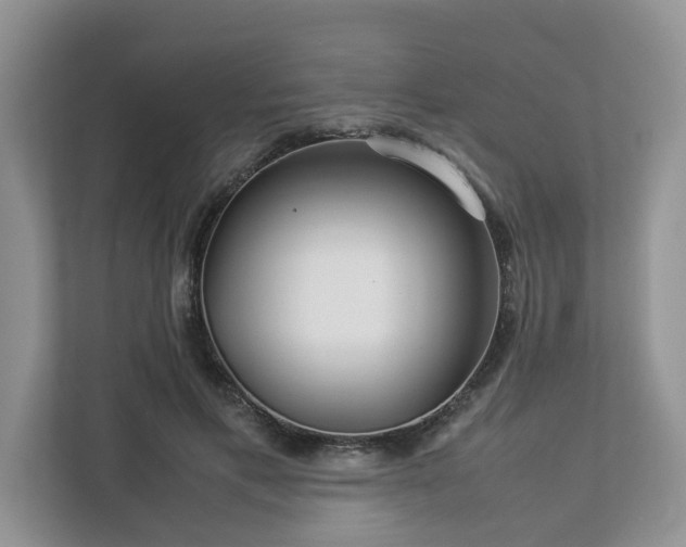 X0000112950597200908241344