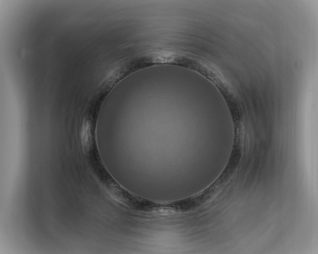 X0000112950598200908241344