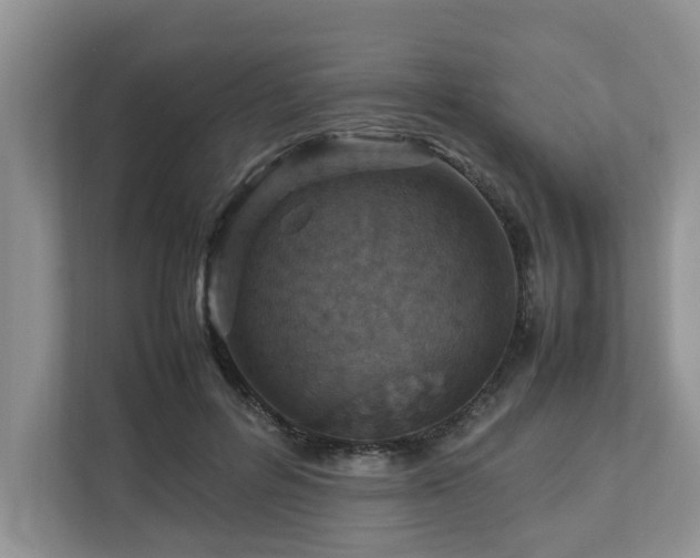 X0000112950600200908241344