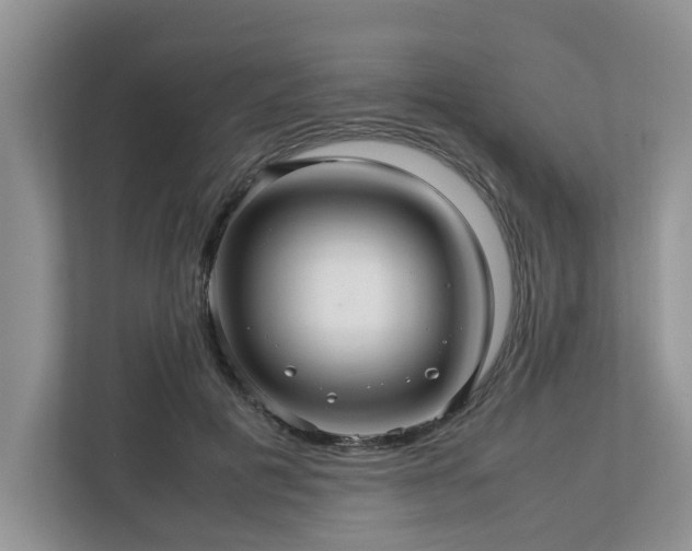 X0000112950601200908241344