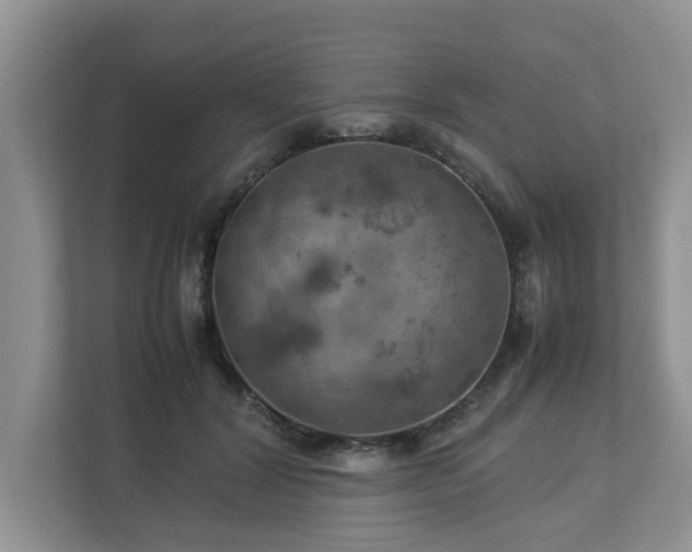 X0000112950604200908241344