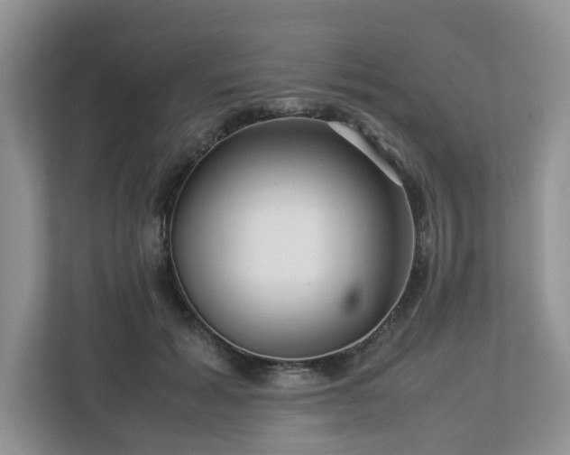 X0000112950605200908241344