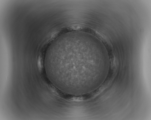 X0000112950606200908241344