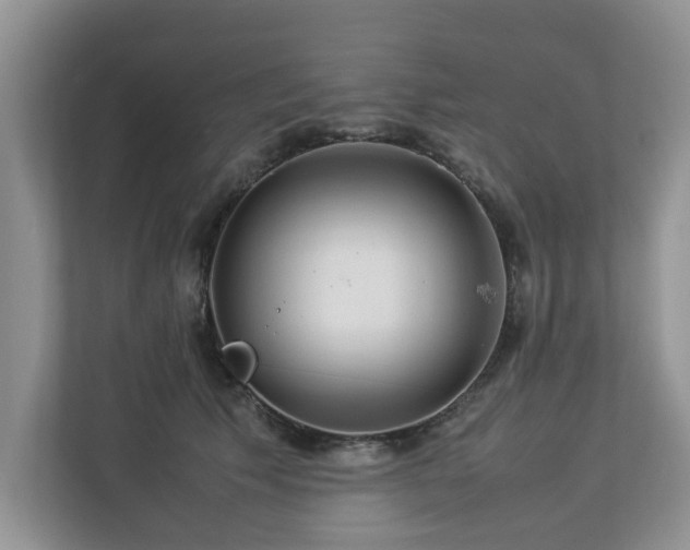 X0000112950609200908241344