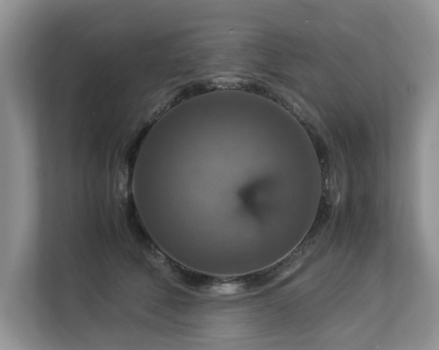 X0000112950610200908241344