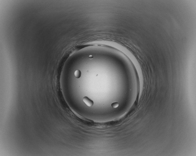 X0000112950611200908241344