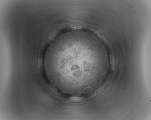 X0000112950614200908241344