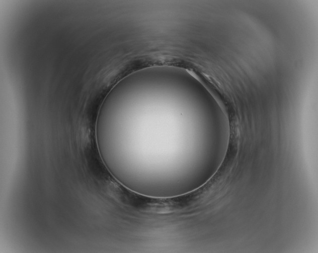 X0000112950615200908241344