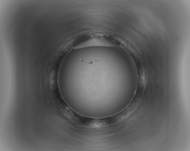 X0000112950616200908241344