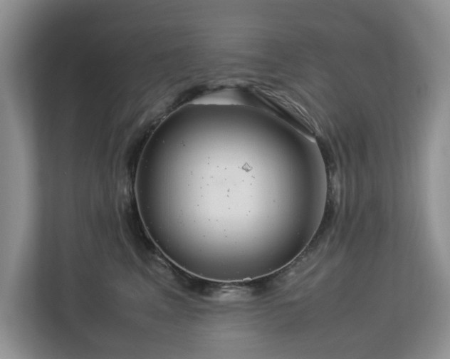 X0000112950617200908241344