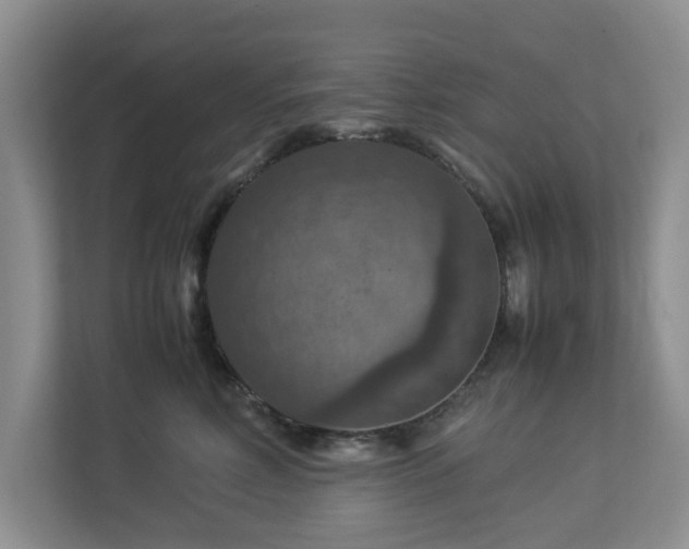 X0000112950618200908241344