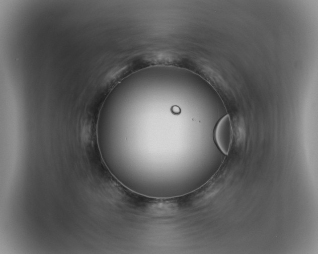 X0000112950619200908241344