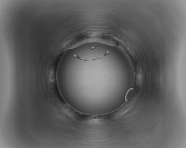 X0000112950620200908241344