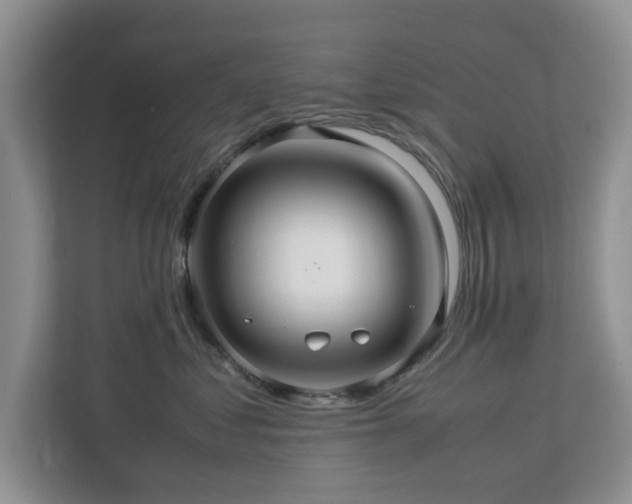 X0000112950621200908241344