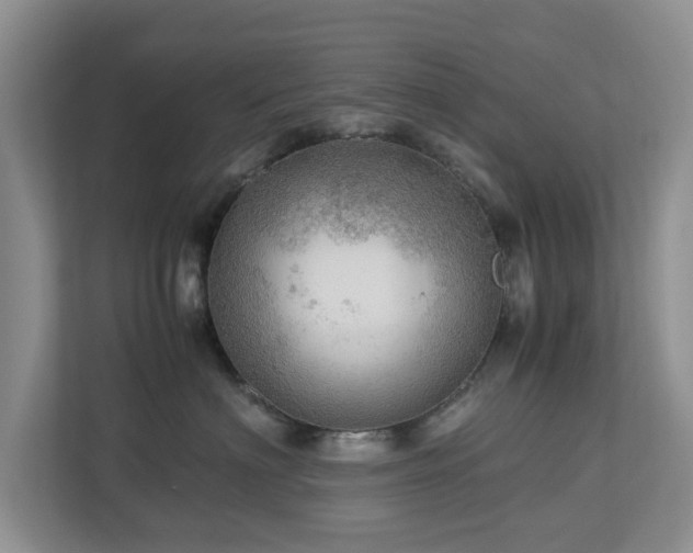 X0000112950622200908241344