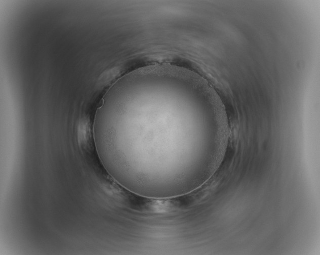 X0000112950623200908241344