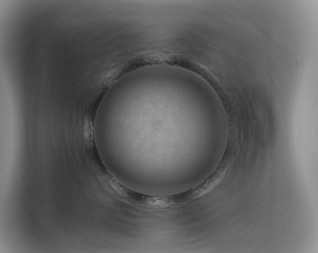 X0000112950624200908241344