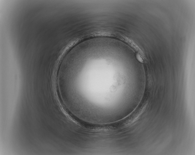 X0000112950625200908241343