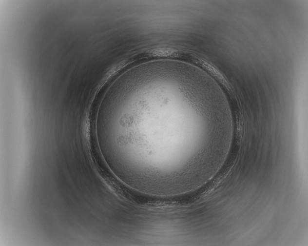 X0000112950626200908241343