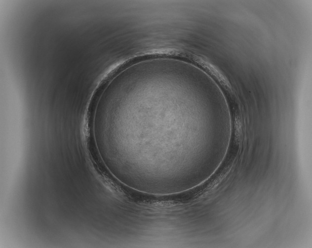 X0000112950628200908241343