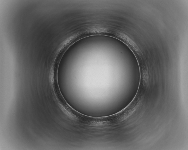 X0000112950629200908241343