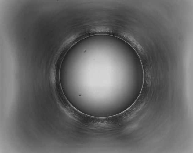 X0000112950631200908241343