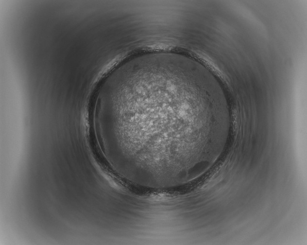 X0000112950634200908241343