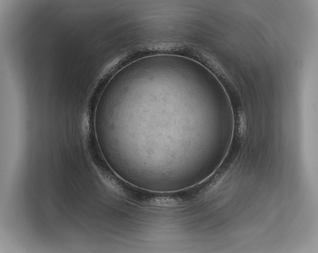 X0000112950636200908241343