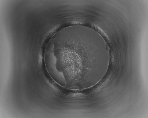 X0000112950637200908241343