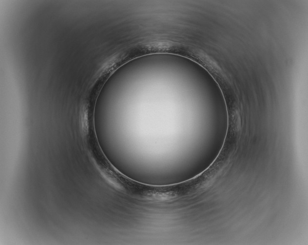 X0000112950638200908241343