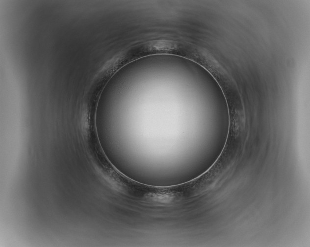 X0000112950639200908241343