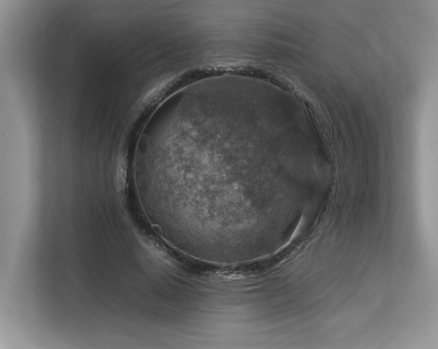 X0000112950640200908241343