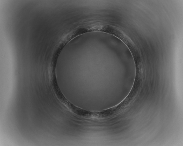 X0000112950641200908241343