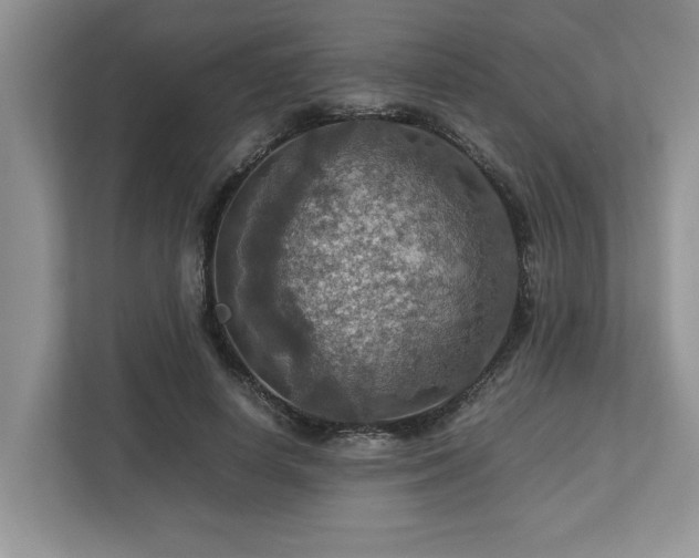 X0000112950642200908241343