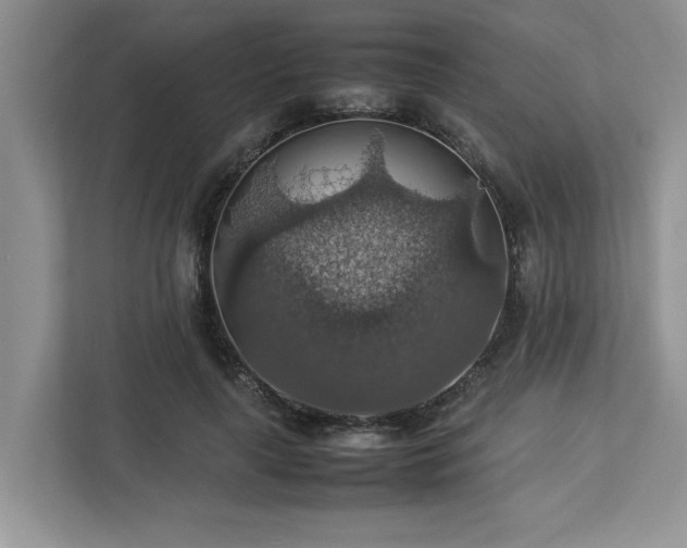 X0000112950643200908241343