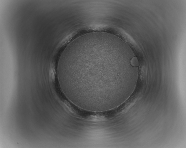 X0000112950644200908241343