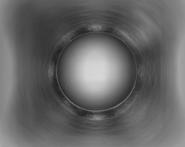 X0000112950645200908241343