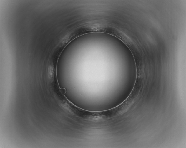 X0000112950646200908241343