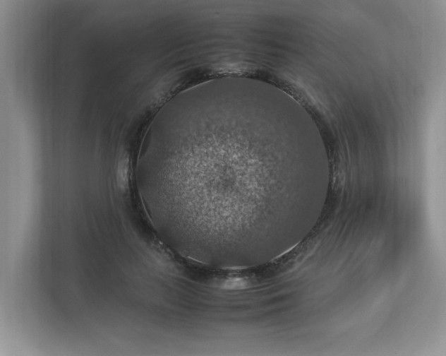 X0000112950647200908241343