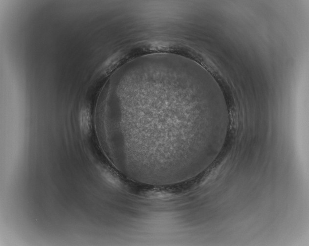 X0000112950648200908241343