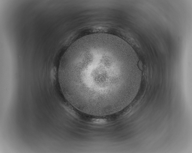 X0000112950649200908241343