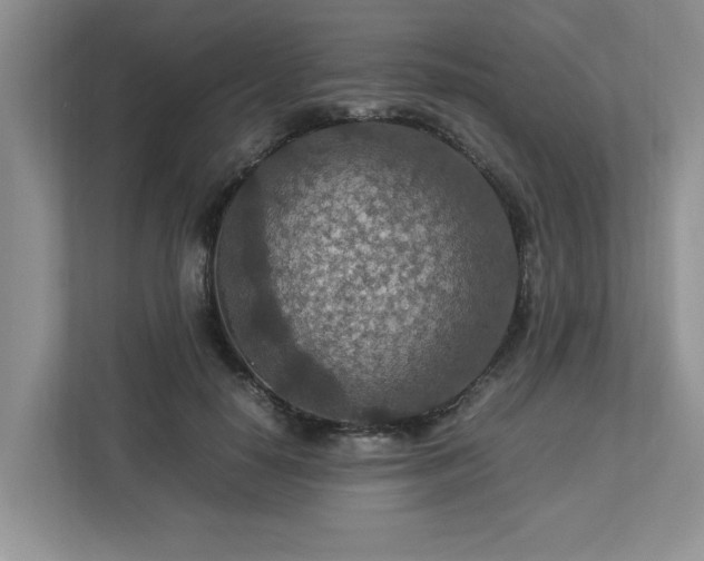 X0000112950650200908241343