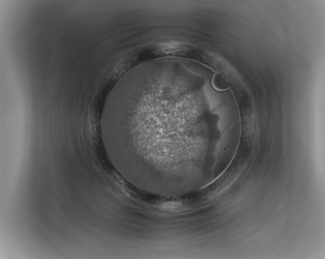 X0000112950653200908241343