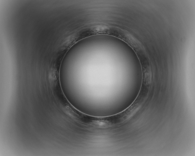 X0000112950654200908241343