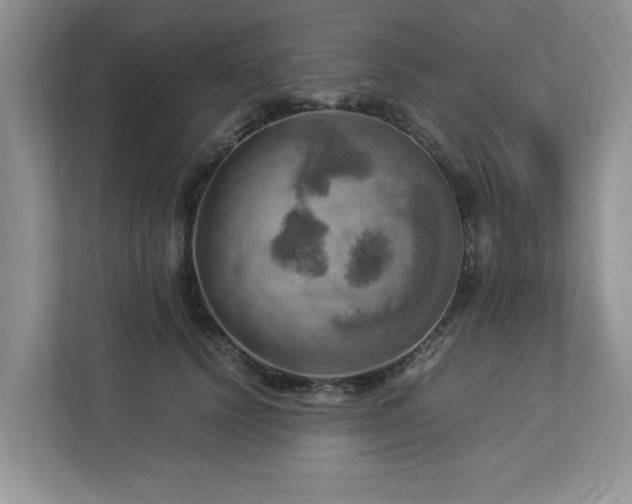 X0000112950656200908241344