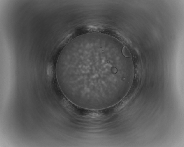 X0000112950659200908241344