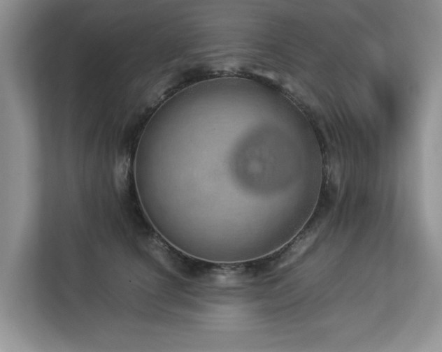 X0000112950660200908241344